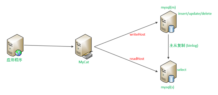 image-20250627145646235